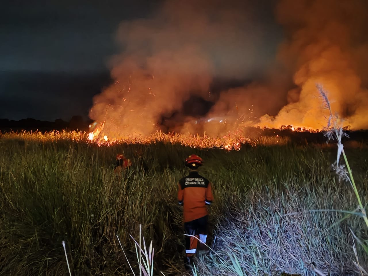 Kebakaran Lahan dan Hutan di Ogan Ilir Sumatra Selatan dan Tanah Logsor di Deli Serdang