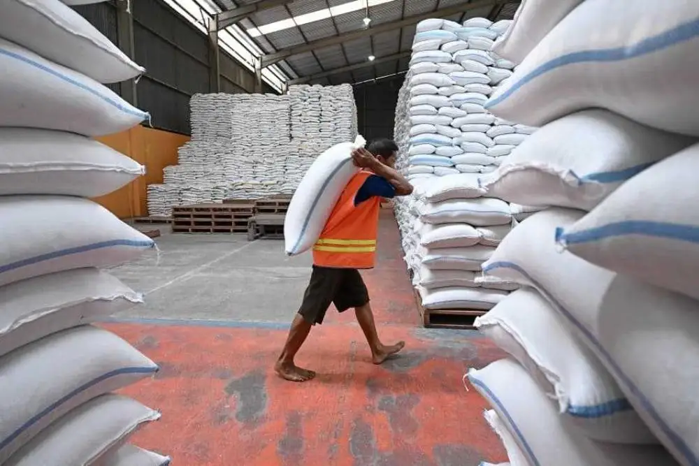 Bulog Catat Serapan Gabah Capai 3,2 Juta Ton, Perkuat Cadangan Beras Nasional