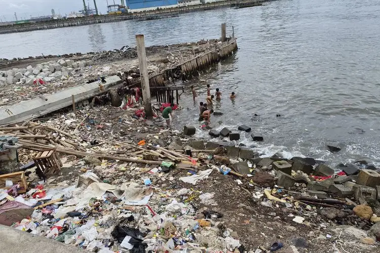 Guru Besar IPB Soroti Kondisi Laut Indonesia yang Kian Memprihatinkan