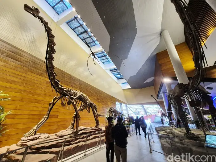 Pertama di Indonesia, Fosil Dinosaurus Asli dari China Resmi Dipamerkan di Tahir Solo Museum