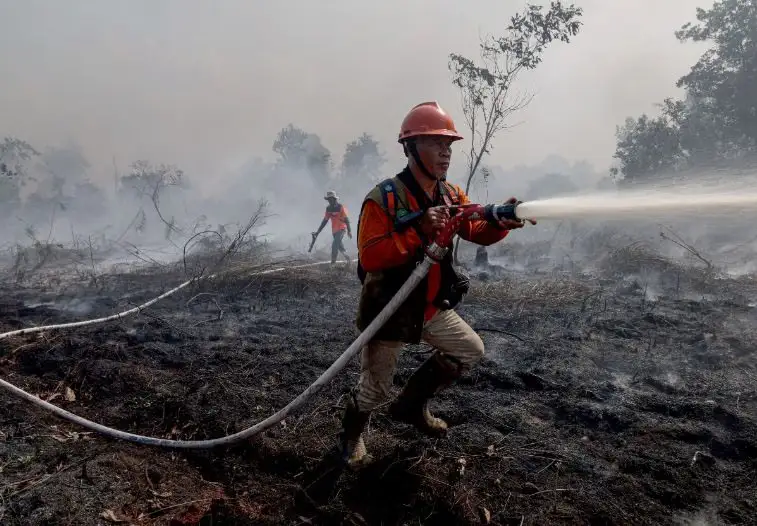 El Niño Tingkatkan Risiko Karhutla, Pemerintah Fokus pada Langkah Pencegahan