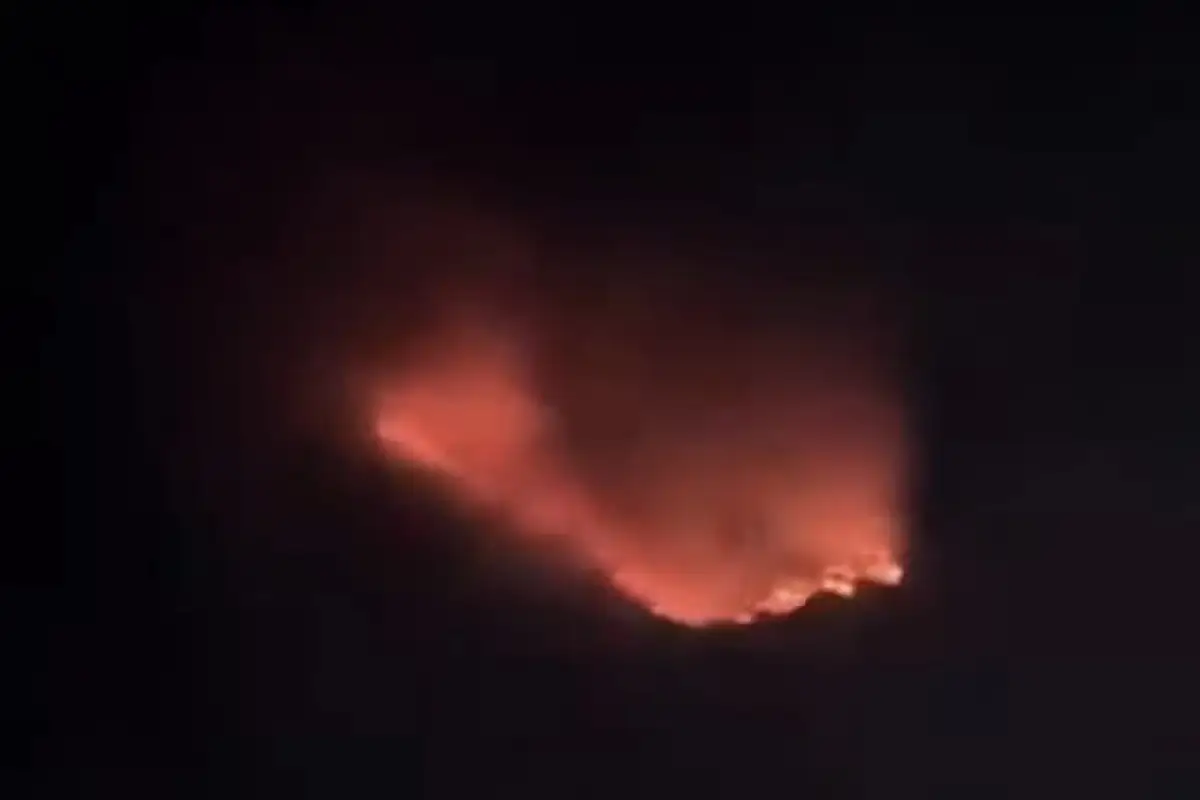 Hutan di Kawasan Bromo Terbakar, Akses Wisata dari Malang dan Lumajang Ditutup