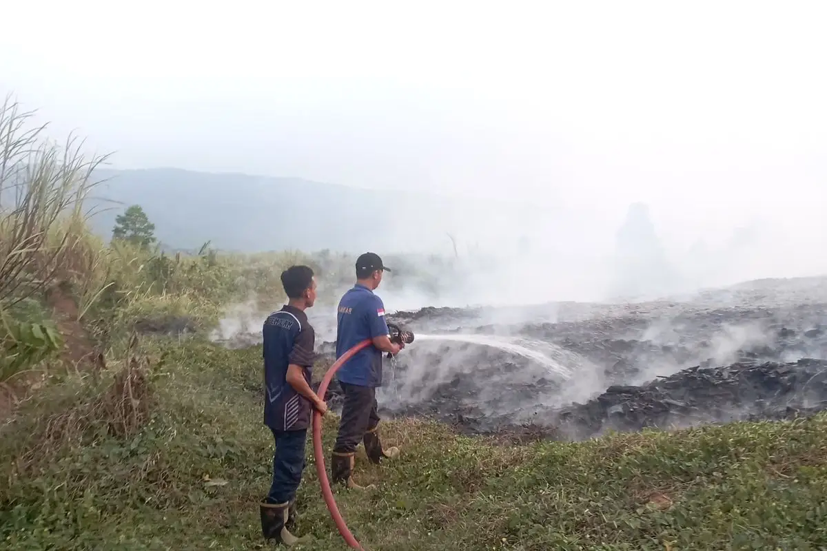 Kebakaran Limbah Kayu di Kajen Pekalongan, Petugas Berjibaku 6,5 Jam Padamkan Api