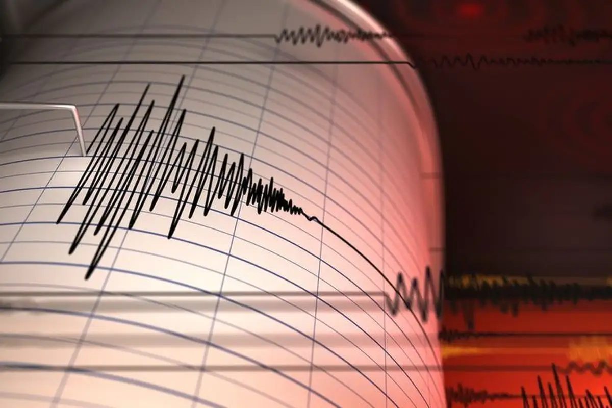Gempa M 5,6 Guncang Halmahera Barat, Getaran Terasa hingga Manado
