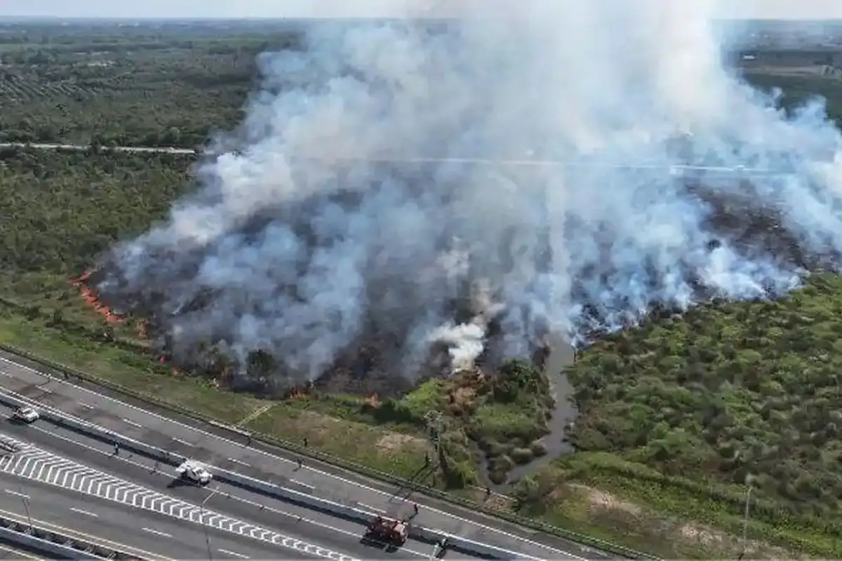 Kabut Asap Karhutla Selimuti Palembang, Kualitas Udara Masuk Kategori Tidak Sehat