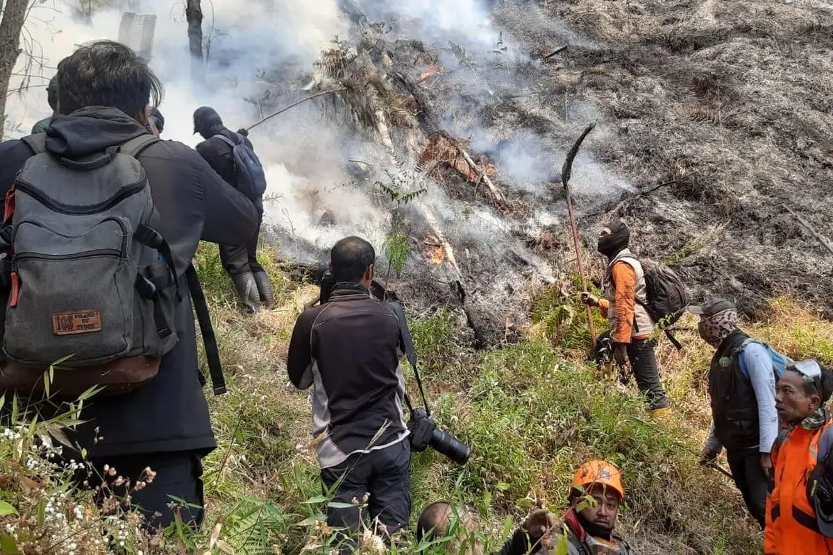 Kebakaran Gunung Bromo Belum Terungkap Penyebabnya, Akses Wisata Ditutup