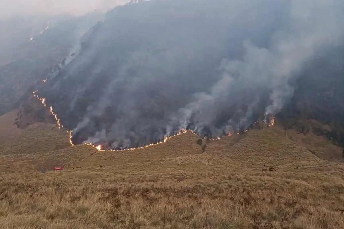 Kebakaran Bromo Meluas hingga 80 Hektare, Akses Wisata Dibatasi sampai Lautan Pasir