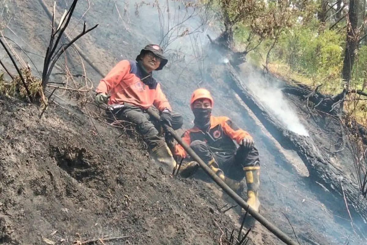Kebakaran di Bromo Kian Meluas, BPBD Tambah Truk Tangki dan Drone Water Bombing