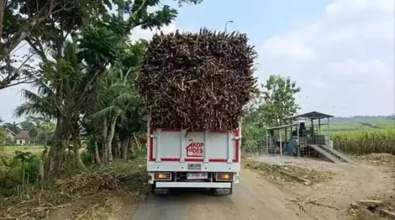 Truk Kopdes Merah Putih Sragen Disewakan untuk Angkut Tebu, BPKB Ternyata Masih Ditahan Bank