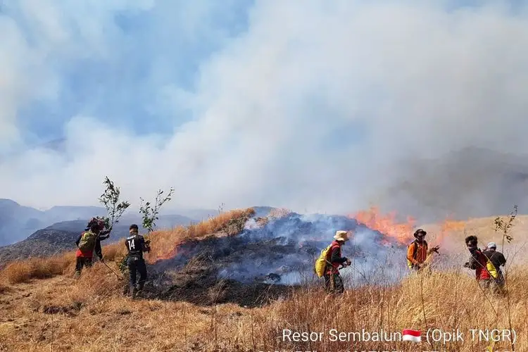 Kebakaran di Rinjani Padam, Tim Gabungan Sisir 30 Hektare untuk Cegah Api Muncul Lagi