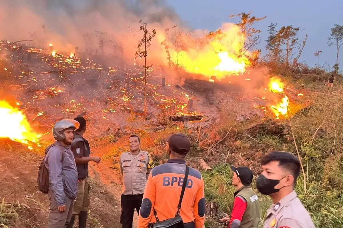Karhutla di Sukabumi Diduga karena Tangan Jahil, 18 Hektare Lahan Perhutani Terbakar