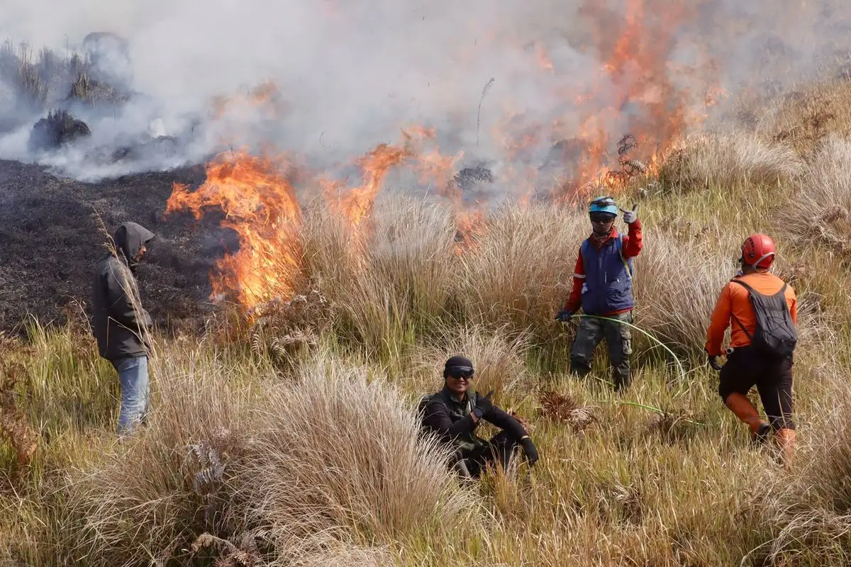 Kebakaran Bromo Meluas hingga Disorot Media Asing, Alarm Serius untuk Pariwisata dan Lingkungan