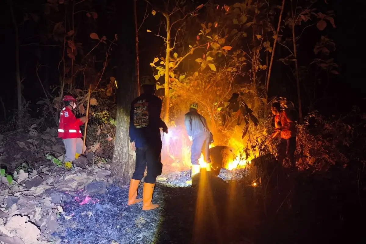 Magetan Catat Lebih dari 50 Kebakaran Lahan, Aktivitas Buka Lahan Jadi Sorotan