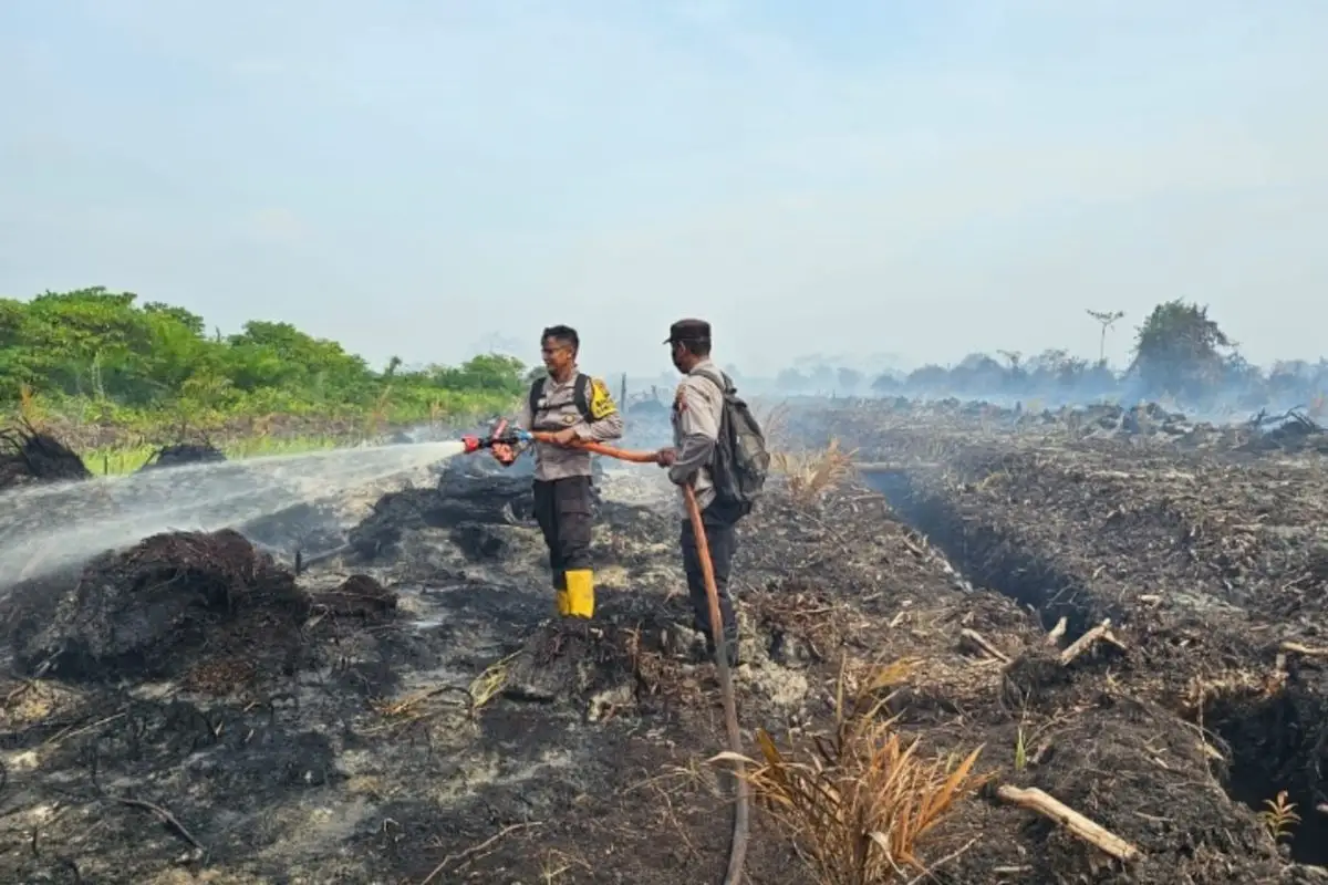 Melawan El Nino “Godzilla” yang Disebut Telah Hanguskan 107.000 Hektare Lahan