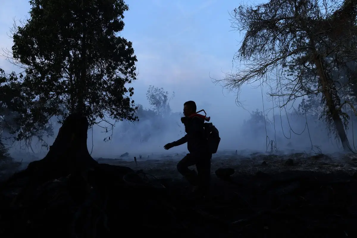 Pemerintah Diminta Cepat dan Terukur Tangani Karhutla, Keselamatan Warga Jadi Prioritas