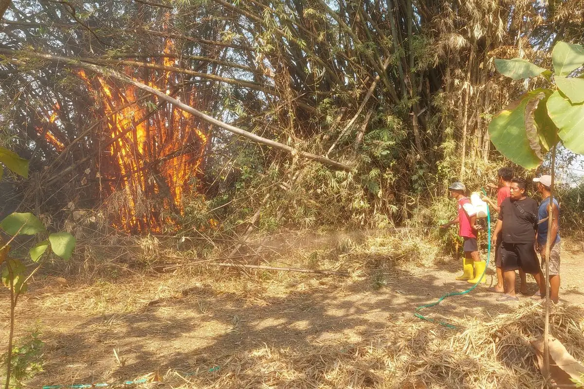 7 Hektare Lahan Terbakar di Madiun, Api Mendekati Permukiman Warga
