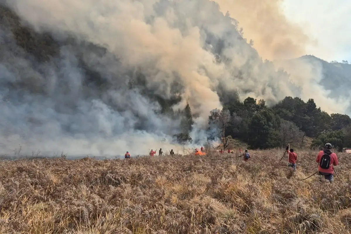 Kebakaran Bromo Berulang, Disbudpar Jatim Wacanakan Kawasan TNBTS Bebas Rokok