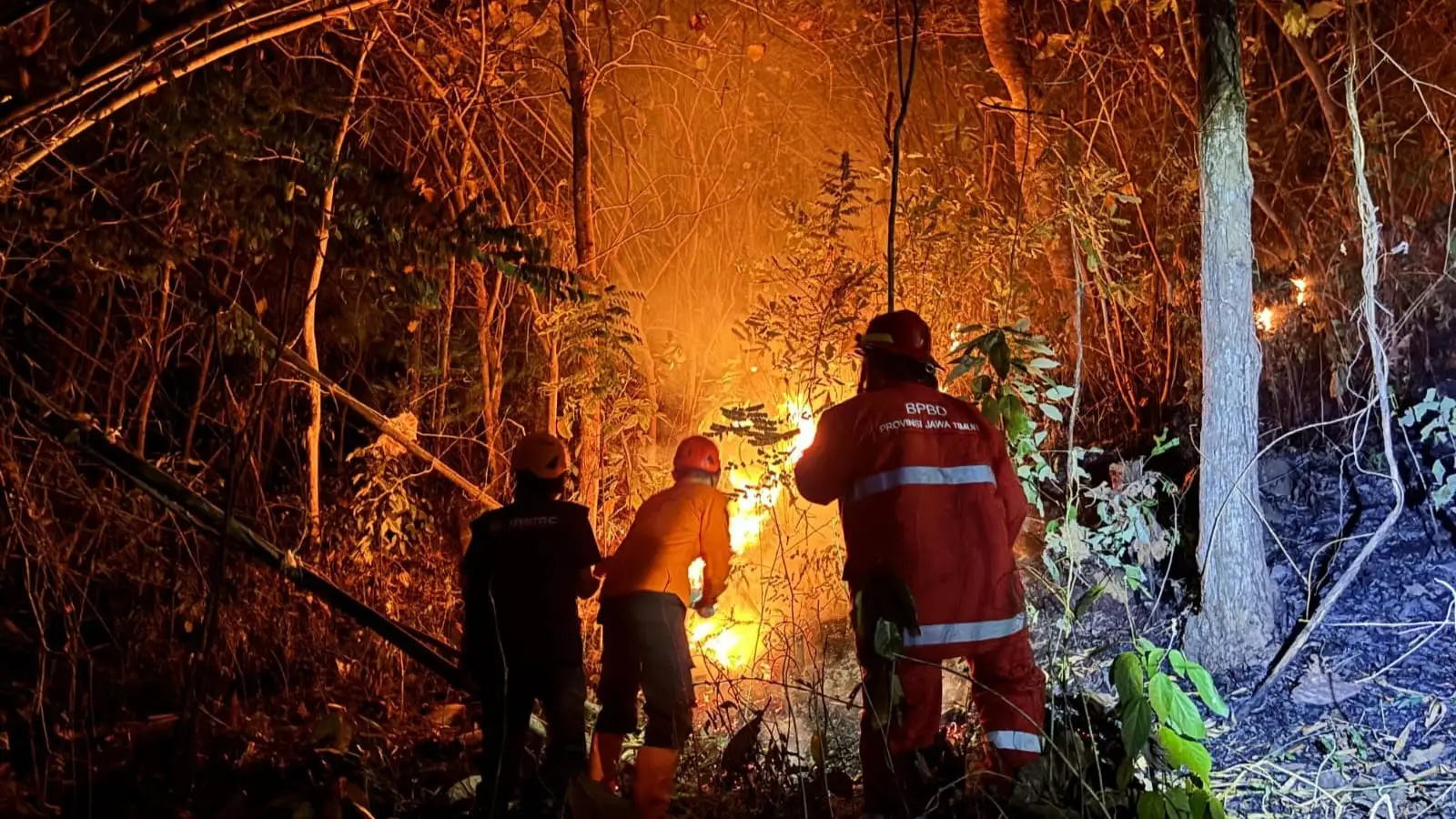 Kantor Taman Nasional Meru Betiri di Jember Kebakaran, Api Hanguskan Hampir Separuh Gedung
