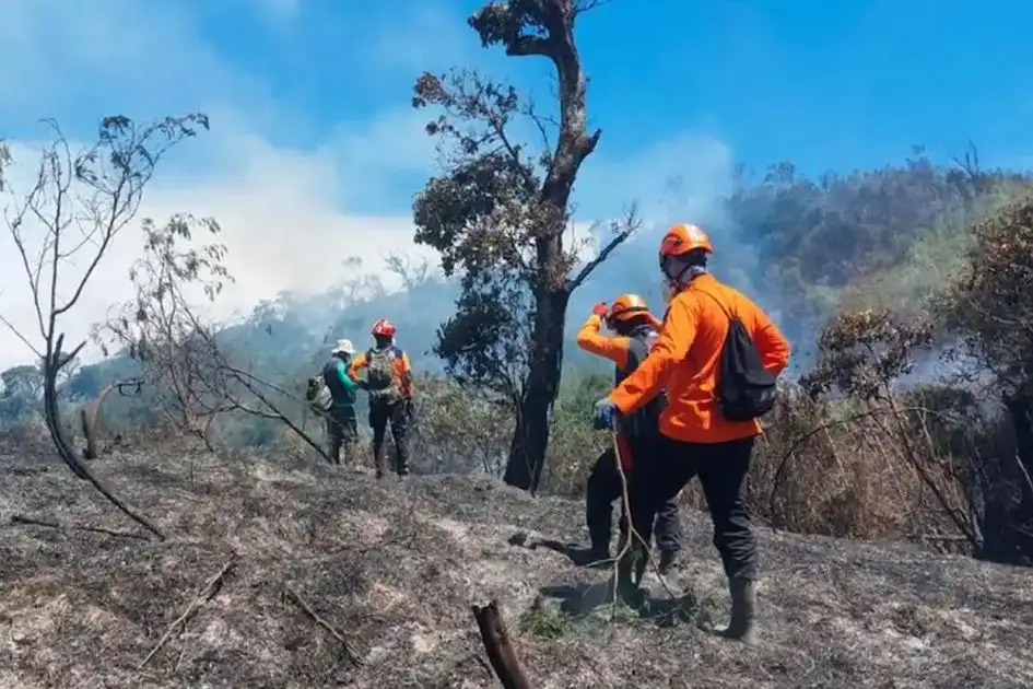 598 Hektare Lahan Semeru Terbakar, BPBD Jatim Ungkap Penyebabnya