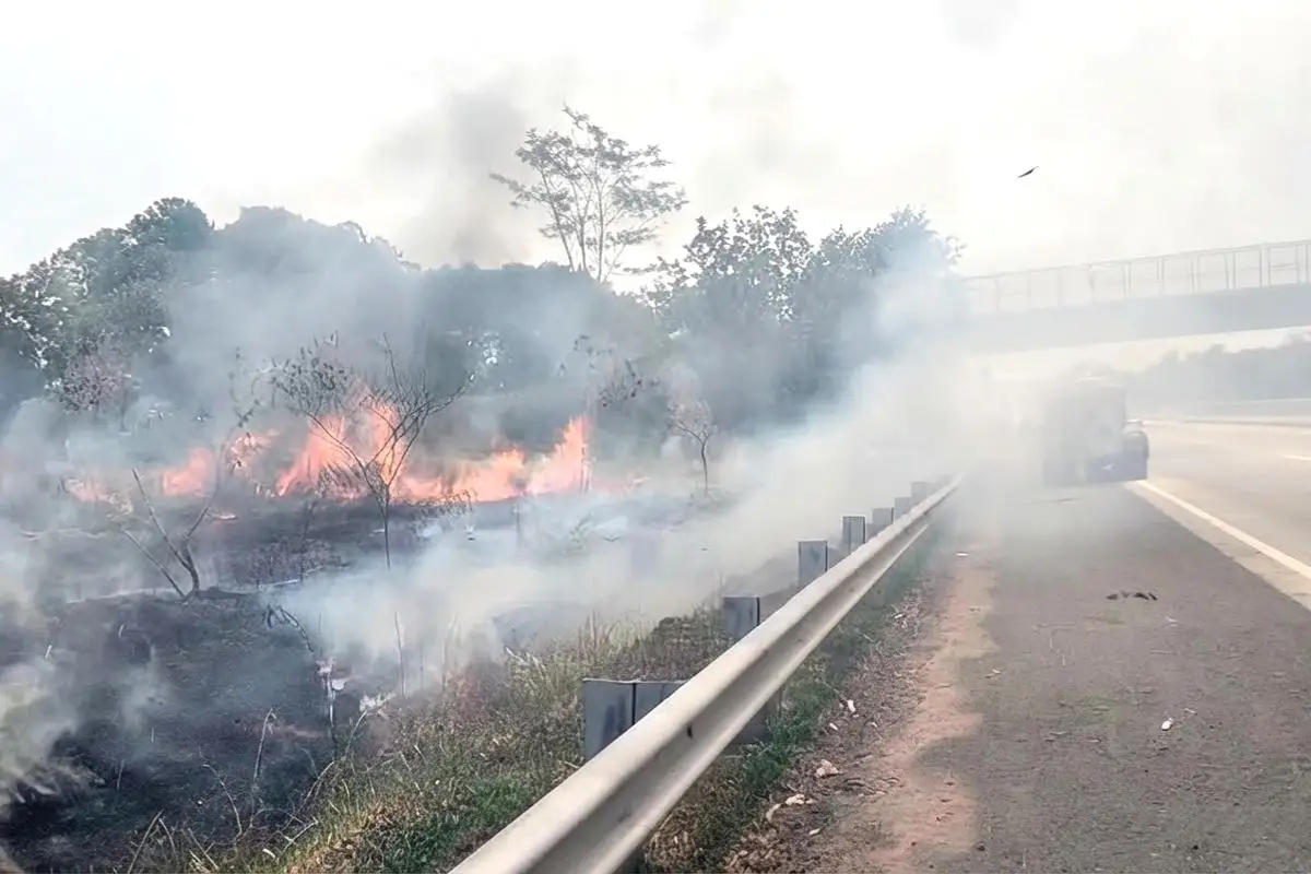 Kebakaran Lahan di Tol KM 86 Lampung Selatan, 4 Mobil Damkar Dikerahkan