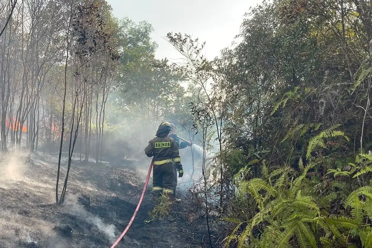 BMKG Catat 1.142 Hotspot di Bintan, 150 Karhutla Terjadi hingga Agustus 2026