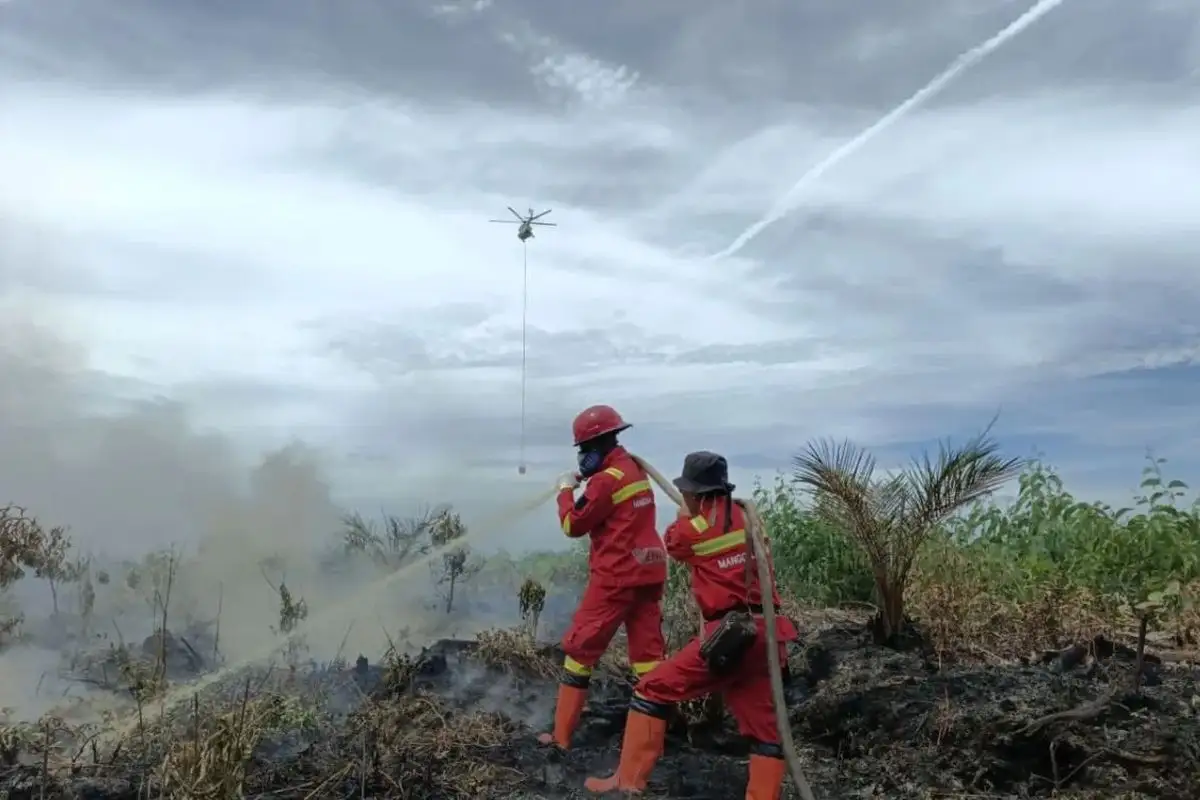 Karhutla Riau 2026 Capai 18.582 Hektare, Bengkalis Jadi Wilayah Terparah