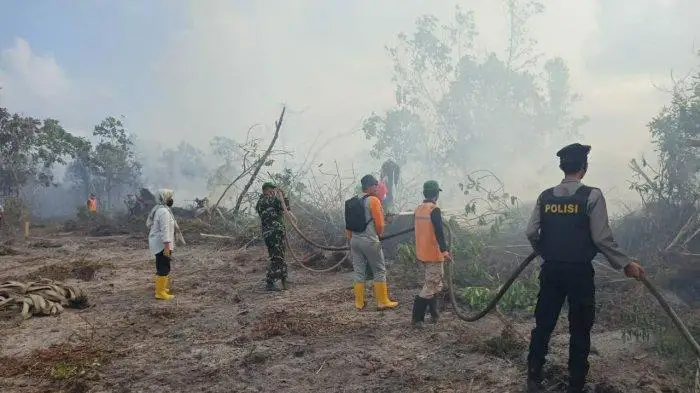 BMKG Imbau Masyarakat Waspadai Kemarau Ekstrem dan Risiko Karhutla