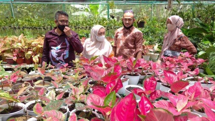 Pengembangan Tanaman Hias Lokal Sebagai Komoditas Ekspor Potensial