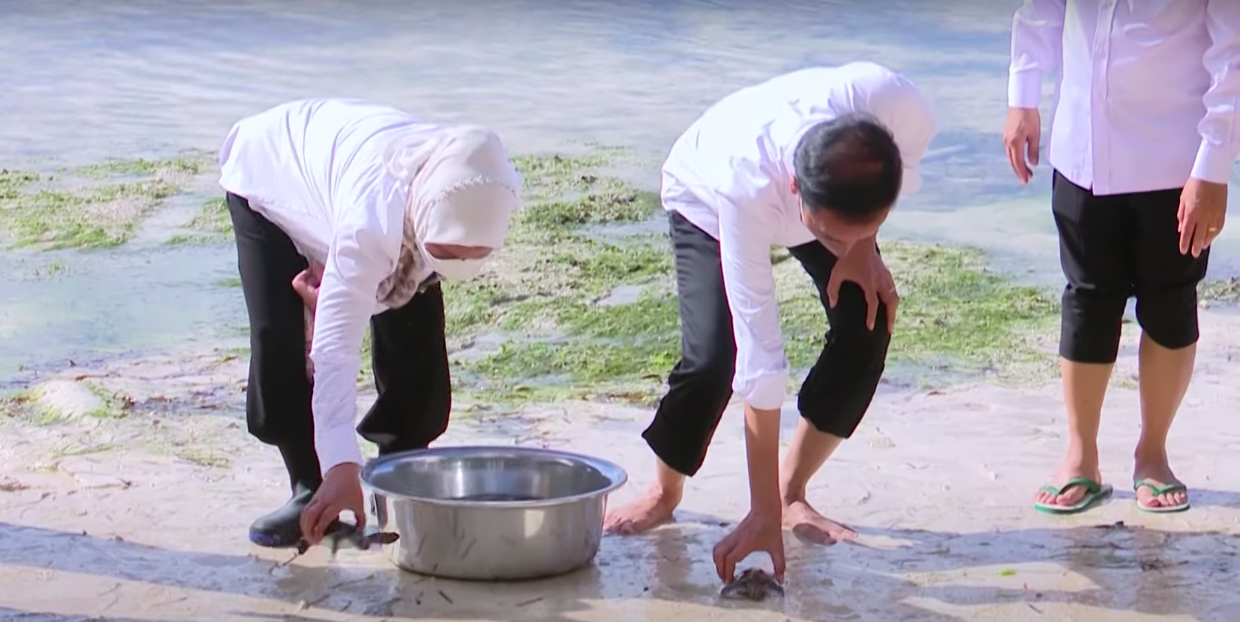 Presiden dan Ibu Iriana Lepas Tukik dan Resmikan Tiga Pelabuhan Penyeberangan