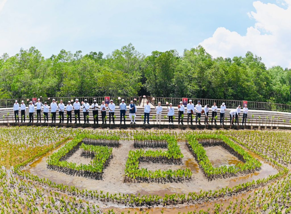 Presiden dan Para Pemimpin Negara G20 Tanam Pohon Mangrove di Tahura