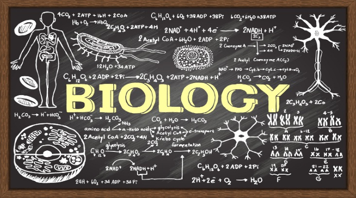 Cover Bahan Ajar Biologi