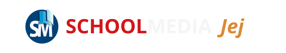 PLatform & Manajemen